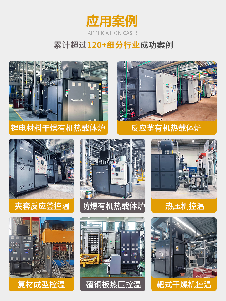 200℃有機熱載體鍋爐案例